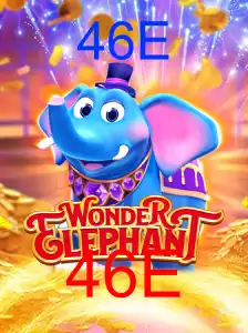WonderElephant